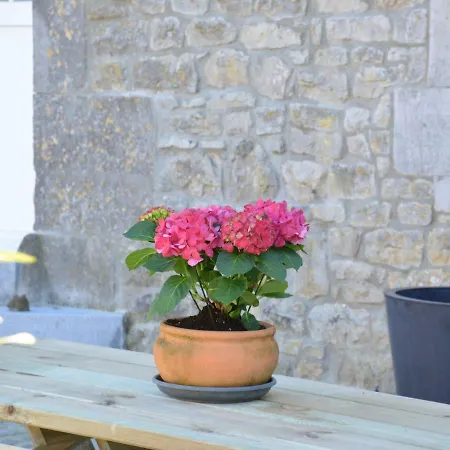 Annexe Of A Magnificent Tastefully Renovated Villa Ouffet Exterior photo